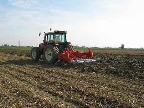 Badalini CHD/Hercules mega (30-60 см) 3