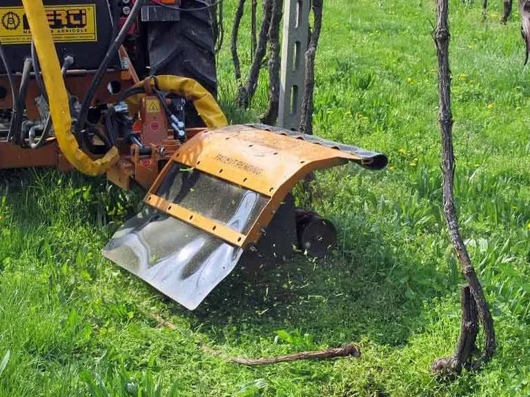 Berti Ecosprint