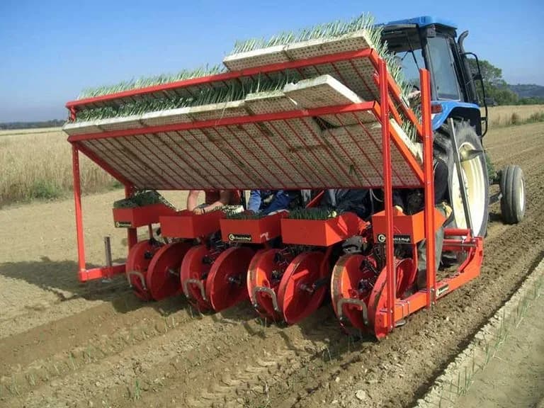 Checchi & Magli Foxdrive R14 3