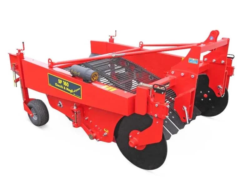 Checchi & Magli SP160