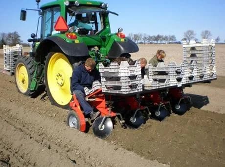 Checchi & Magli F300L 3
