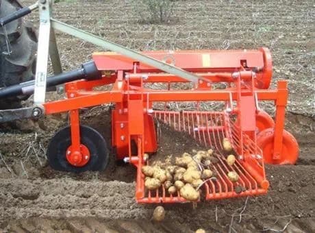 Checchi & Magli SP100