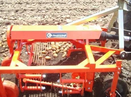Checchi & Magli SP100 4