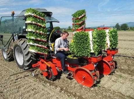 Checchi & Magli Trium 45