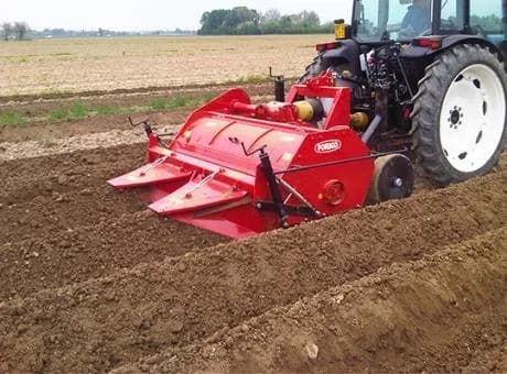 Forigo P35 5