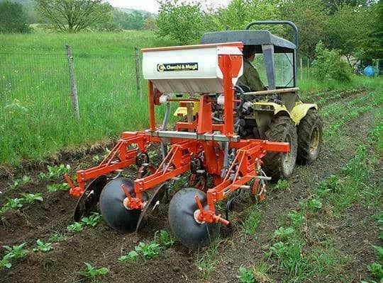 Checchi & Magli VR76 Export