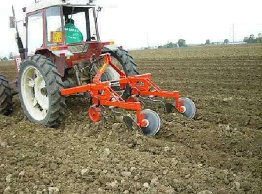 Checchi & Magli VR76 Export 6