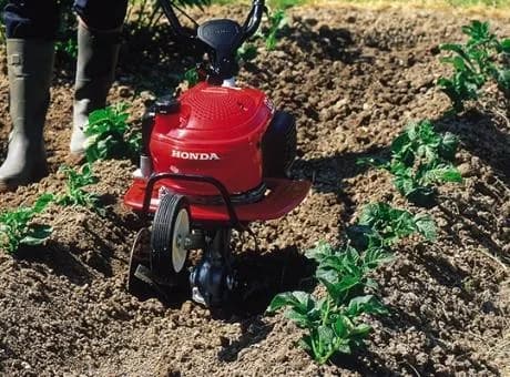 Honda 6