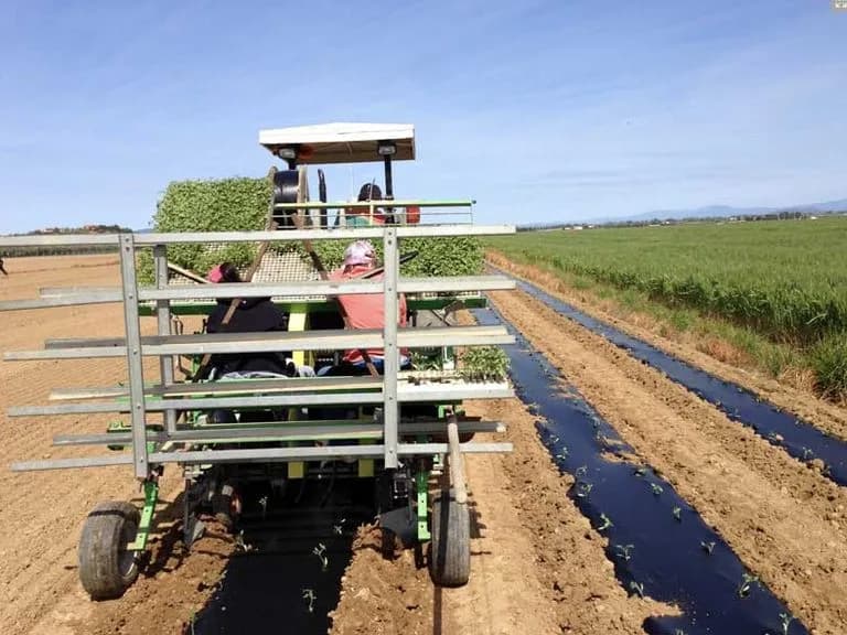 Hortech Over / Over Plus 3