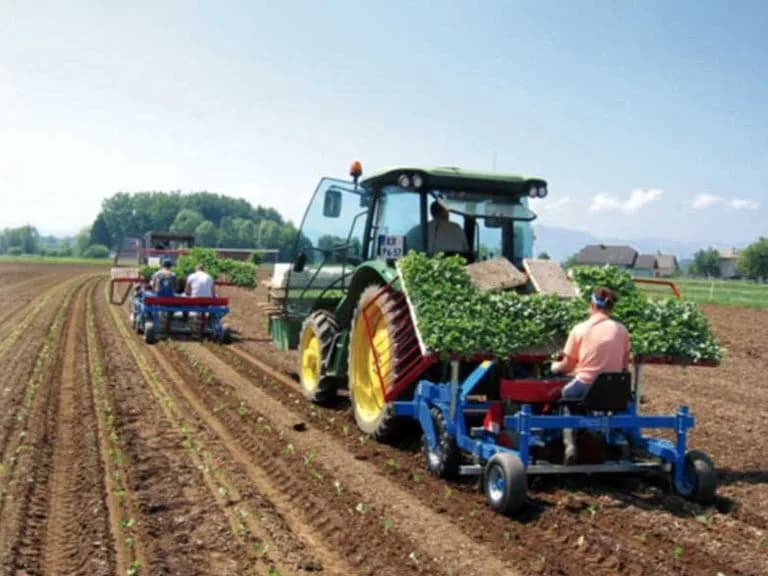 Hortech Practica Duo 5
