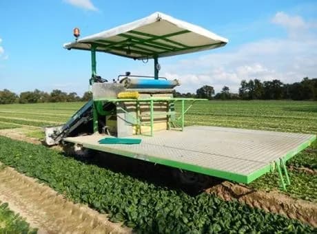 Hortech Slider FW XL
