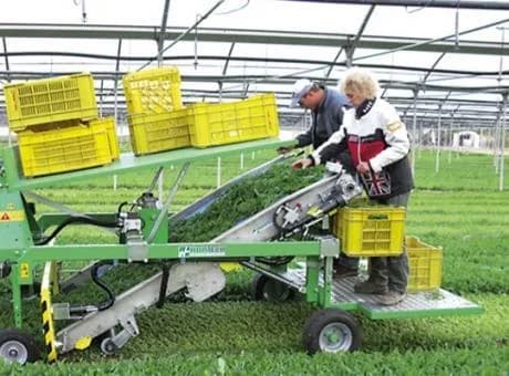Hortech Slider T 6