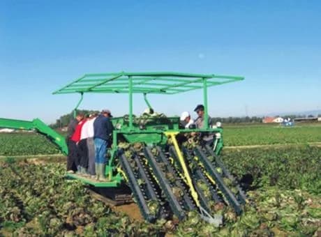 Hortech Rapid SR 6
