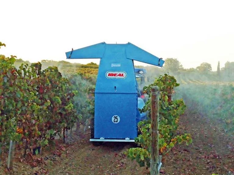Ideal Charentes 5