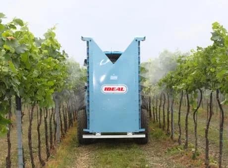Ideal Loire 3