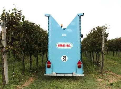 Ideal Loire