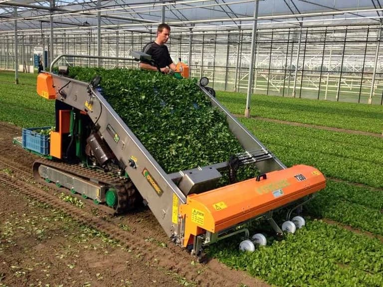 Ortomec 7200 Herbex 4