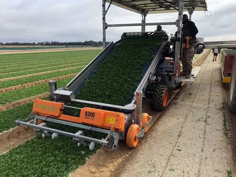 Ortomec 8300 Herbex 3