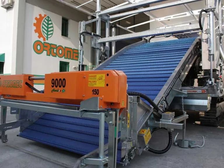 Ortomec 9000 Lattuga 4