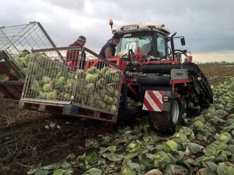 Vanhoucke VITUS Brassica Storage 4