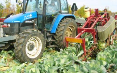 Комбайн для збору капусти Univerco Cabbage Harvester