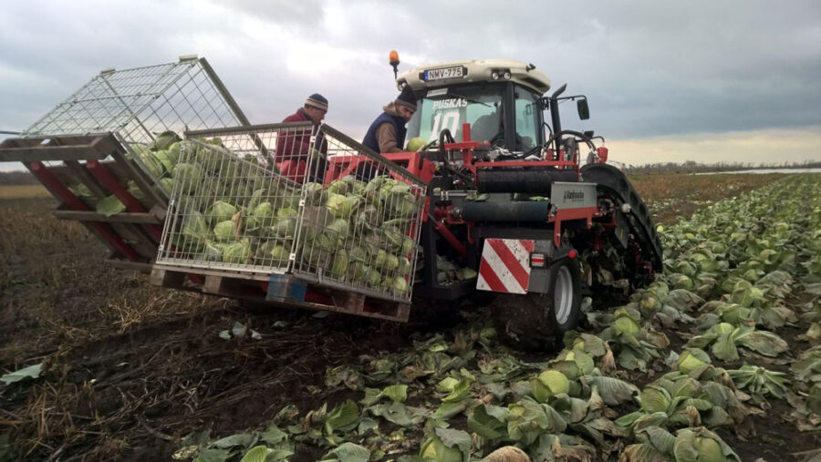 Комбайн для збору капусти Vanhoucke Cabbage Harvester