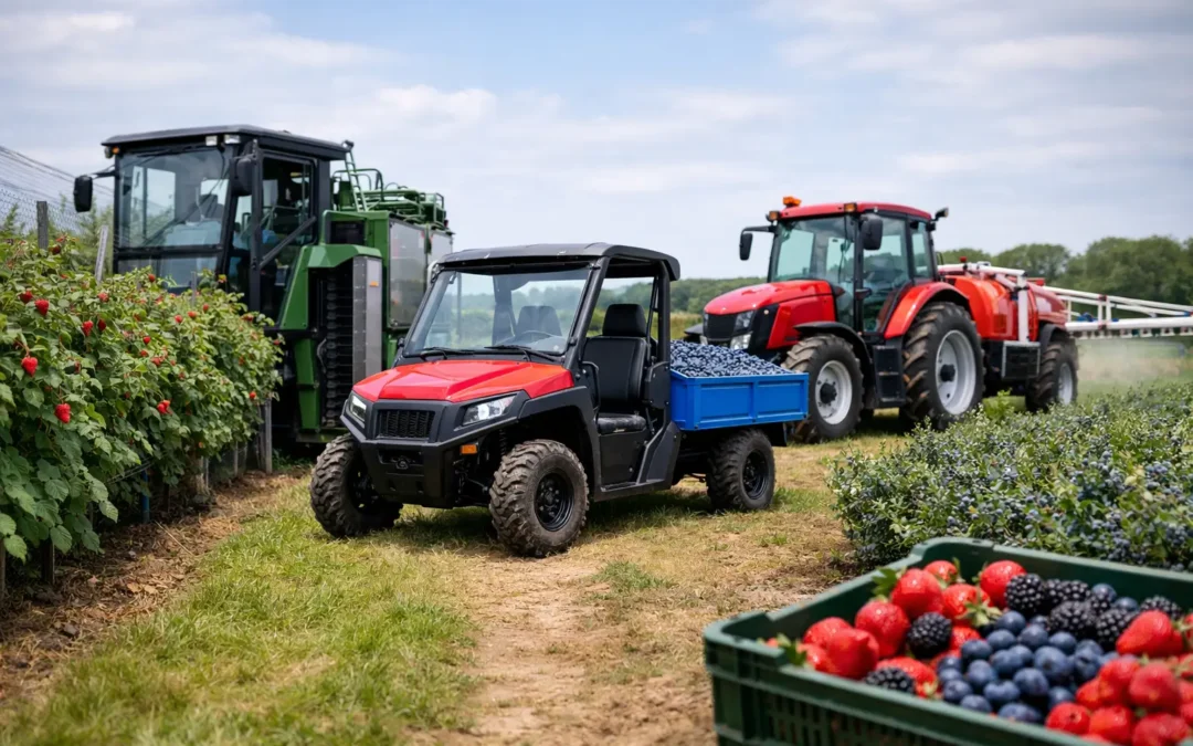Техніка для ягідних господарств: що обрати